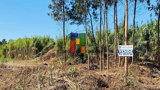 Terreno em Mira