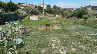 Land for sale in Mealhada, Portugal