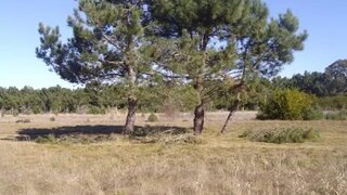Land for sale in Mira, Portugal — €18,500