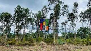 Terreno em Cantanhede · 7200 m² · 28 900 €