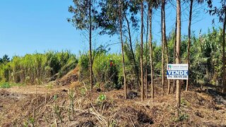 Terreno em Mira