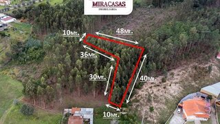 Terreno em Cantanhede