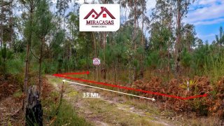 Terreno em Mira