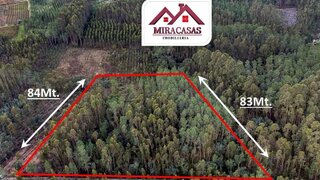 Land for sale in Cantanhede, Portugal — €15,000