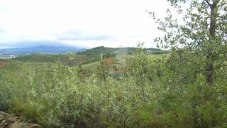 Land for sale in Sertã, Portugal — €25,000