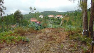 Land for sale in Sertã, Portugal — €10,000