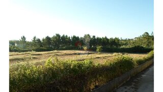 Land for sale in Sertã, Portugal — €99,000