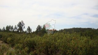 Land for sale in Sertã, Portugal — €20,000