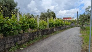 Land for sale in Sertã, Portugal — €35,000