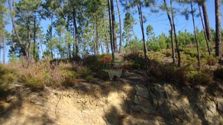 Land for sale in Sertã, Portugal — €4,500