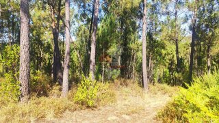 Land for sale in Sertã, Portugal — €25,000