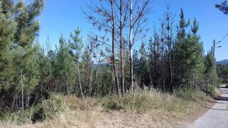 Land for sale in Sertã, Portugal — €17,000