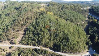 Land for sale in Sertã, Portugal — €65,000