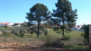 Land for sale in Sertã, Portugal — €30,000