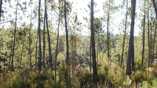 Terreno em Oleiros