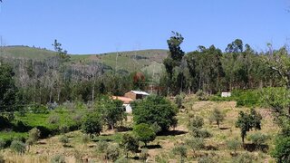 Land for sale in Castanheira de Pêra, Portugal — €66,500