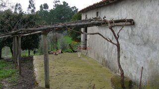 Land for sale in Sertã, Portugal — €40,000