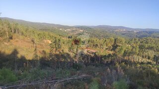 Land for sale in Sertã, Portugal — €7,500