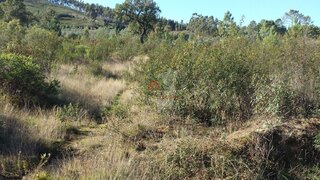 Land for sale in Mação, Portugal — €30,000