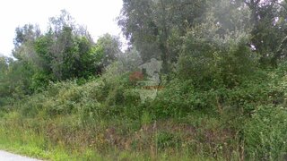 Land for sale in Sertã, Portugal — €100,000