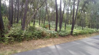 Land for sale in Sertã, Portugal — €10,000