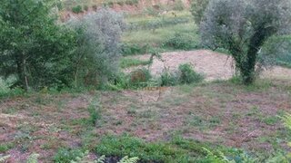 Land for sale in Figueiró dos Vinhos, Portugal — €20,600