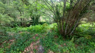 Land for sale in Pedrógão Grande, Portugal — €15,000