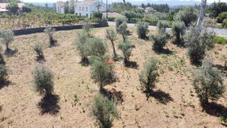 Land for sale in Sertã, Portugal — €45,000