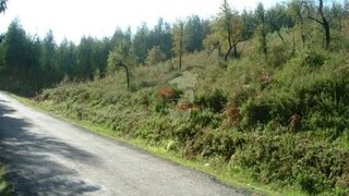 Land for sale in Sertã, Portugal — €16,000