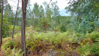 Land for sale in Sertã, Portugal — €7,000