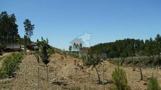Land for sale in Sertã, Portugal — €28,600