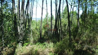 Land for sale in Sertã, Portugal — €6,850