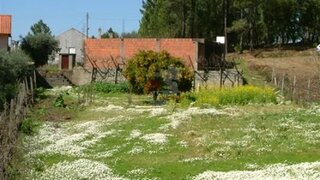 Land for sale in Sertã, Portugal — €33,000