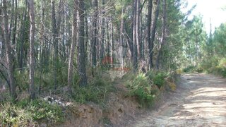 Land for sale in Sertã, Portugal — €25,000