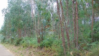 Land for sale in Sertã, Portugal — €25,000