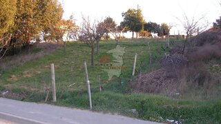 Land for sale in Proença-a-Nova, Portugal — €25,000