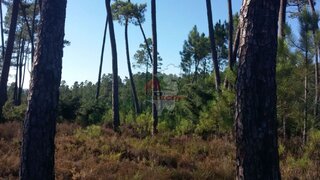Land for sale in Vila de Rei, Portugal — €7,000