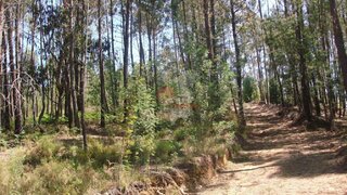 Land for sale in Pedrógão Grande, Portugal — €14,000