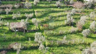 Land for sale in Sertã, Portugal — €13,000