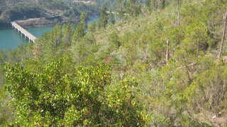 Land for sale in Sertã, Portugal — €30,000