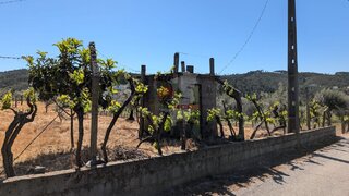Terreno em Sertã