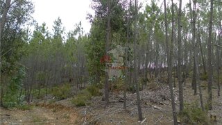 Land for sale in Oleiros, Portugal — €29,920