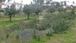 Land for sale in Sertã, Portugal — €21,000