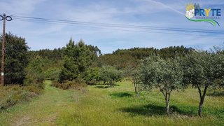 Land for sale in Sertã, Portugal — €60,000