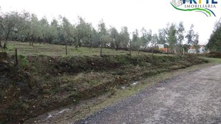 Land for sale in Sertã, Portugal — €44,920