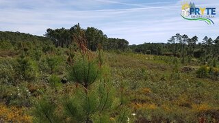 Land for sale in Sertã, Portugal — €35,000