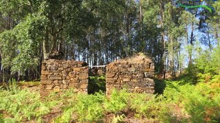Land for sale in Sertã, Portugal — €35,000