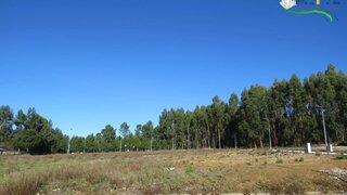 Land for sale in Sertã, Portugal — €30,000