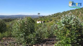 Land for sale in Sertã, Portugal — €37,000