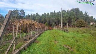 Land for sale in Sertã, Portugal — €25,000
